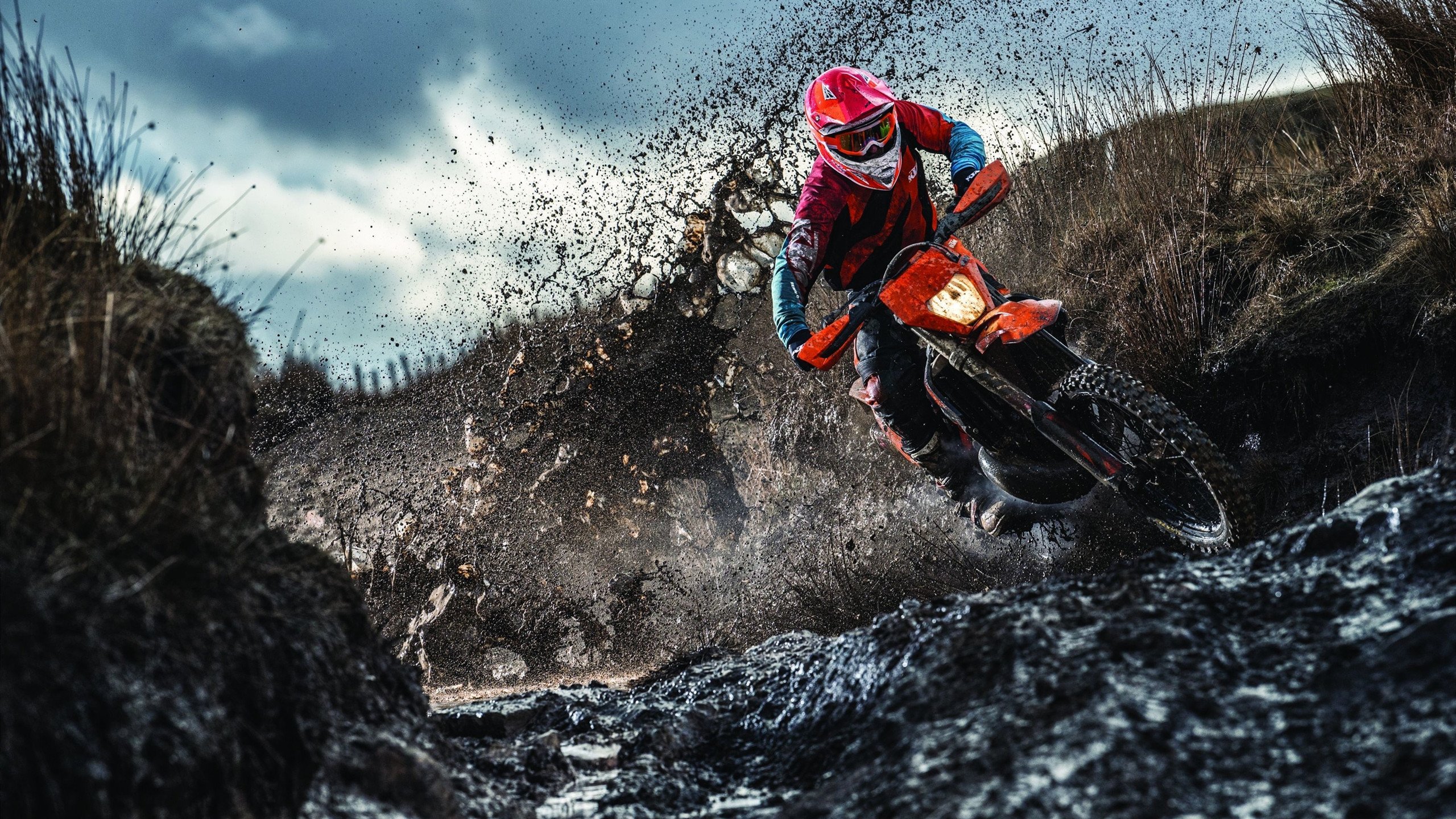 开云APP-皮克一球定乾坤，当哥斯达黎加的雨林风吹过爱尔兰的绿茵  第2张